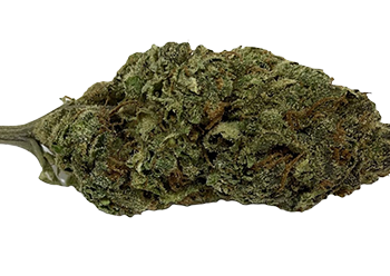 Platinum Girl Scout Cookies kaufen