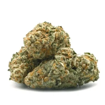 Garlic Breath Strain