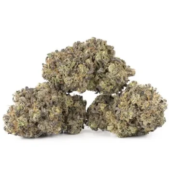 Ice Cream Cake Strain