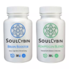 SoulCybin