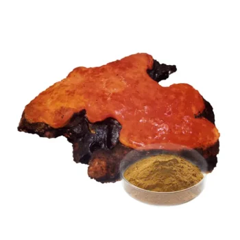 Antrodia Cinnamomea Extract