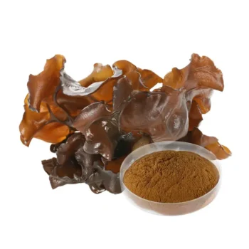Black Fungus Extract