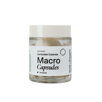 CAMBODIAN CUBENSIS CAPSULES.
