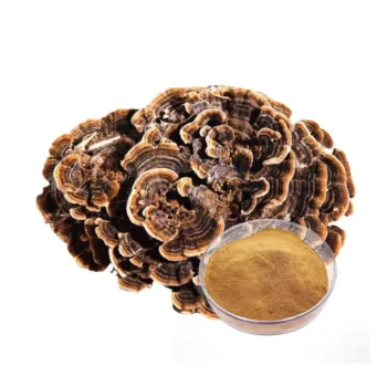 (Coriolus Versicolor) Turkey Tail Mushroom Extract