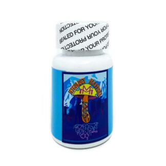 Mycology Masters Concentration & Focus 300mg