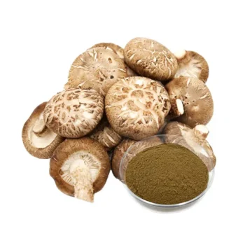 Shiitake Mushroom Extract